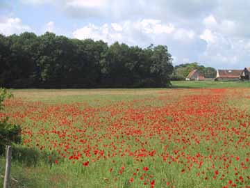 gezicht op Ecoutron